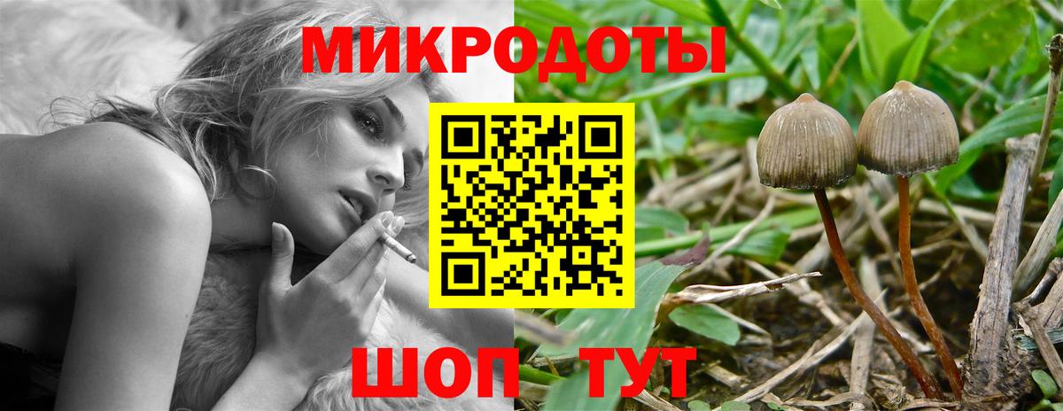 Нововоронеж  где продают   Вход с VPN  Псилоцибиновые грибы Psilocybine cubensis 